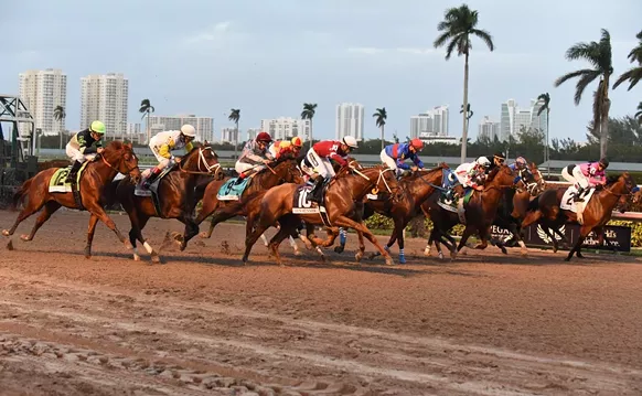 Image: Florida Banned Greyhound Racing In 2018. Is Horse Racing Next?