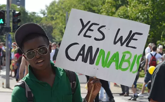 Image: Four States Just Legalized Weed. Is Florida Next?