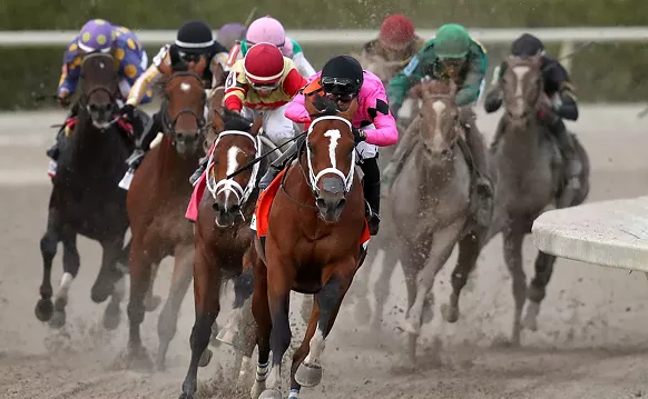 Image: Gulfstream's Horse Death Toll at 34 as Championship Meet Opens