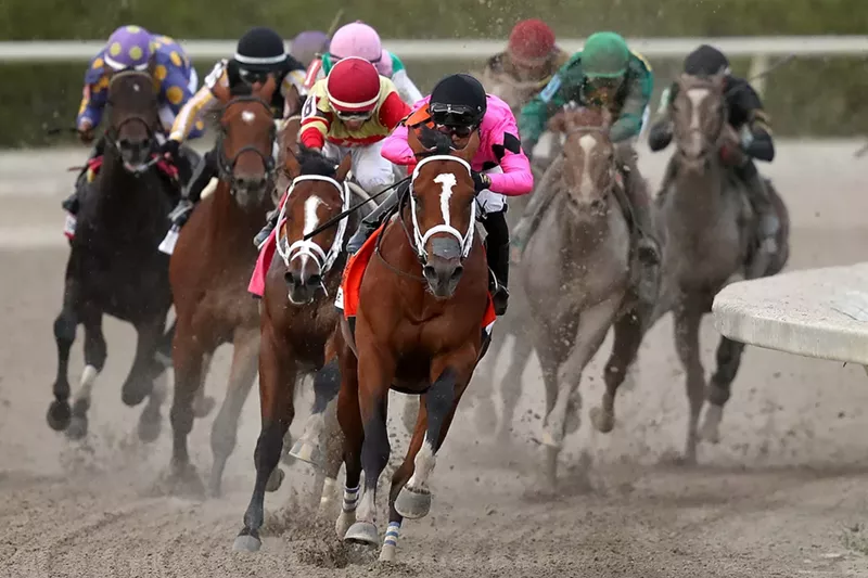 Image: Gulfstream Park, one of the nation's premier thoroughbred race tracks, opened for its 2019-2020 championship meet today.