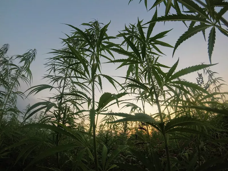 Image: Follow our step-by-step guide and you'll be medicated in no time.