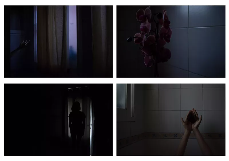 Image: Paulina Donis, Todo el cabello que perdí (All of the hair that I've lost)