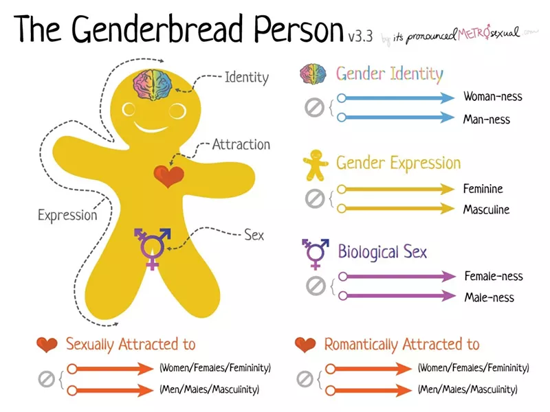 Image: Diana Fedderman claims the Genderbread Person was unceremoniously yanked from a high school curriculum.