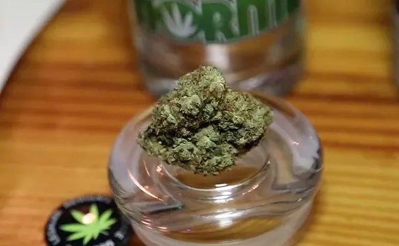 Image: Legal Recreational Pot Could Come to Florida, Just Like Vermont