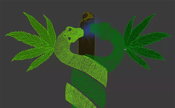 Image: Medical Marijuana Cost a Nursing Student Her Spot at Nova Southeastern
