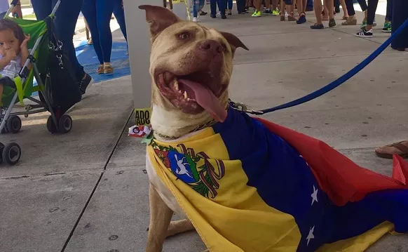 Image: More Than 100,000 South Floridians Voted in Yesterday's Referendum on Venezuela