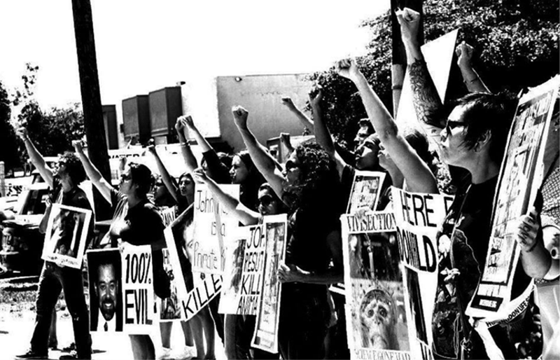 Image: Animal rights activists protest the use of monkeys in scientific experiments in this 2016 photo.