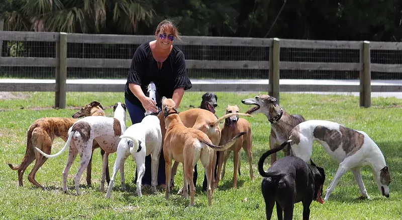 Image: Sonia Stratemann, owner of Elite Greyhound Adoptions.