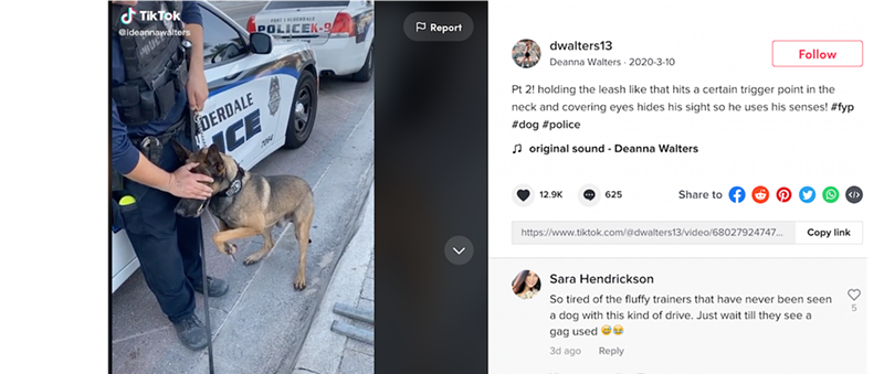 Image: A K-9 training expert sets the record straight about a maneuver that has alarmed viewers on TikTok.
