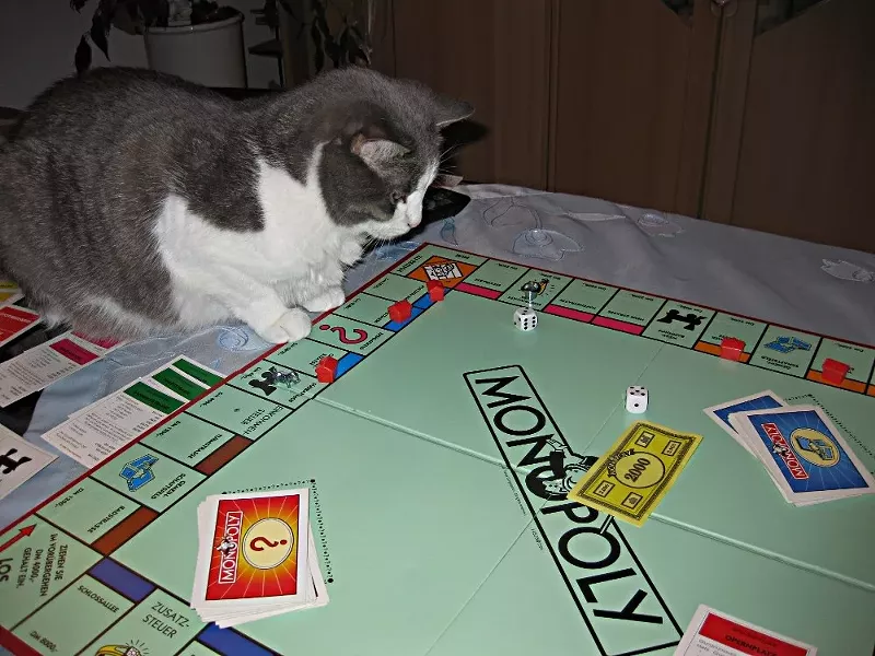 Image: If your broken brain automatically constructs an "I can haz house?" joke, you probably don't have a mortgage.