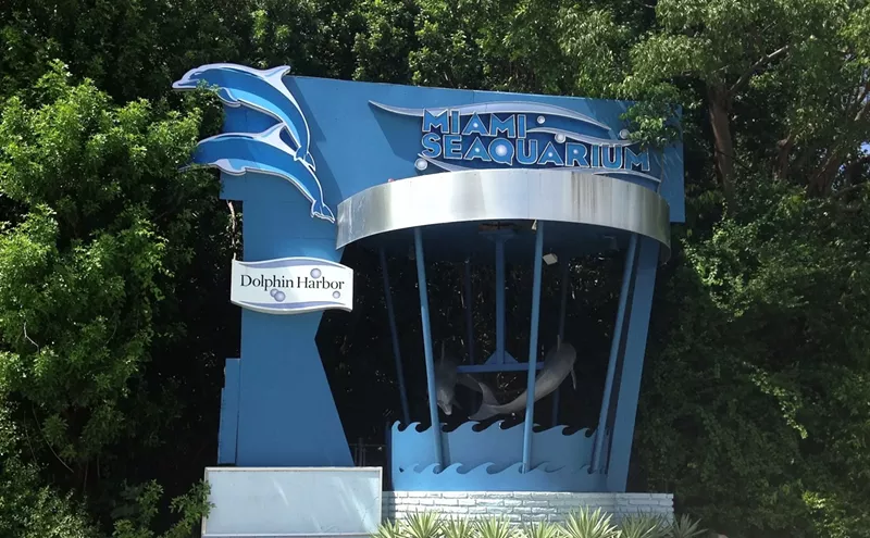 Image: Shortly Before the County Terminated Its Lease, We Visited the Seaquarium, Miami's Saddest Attraction