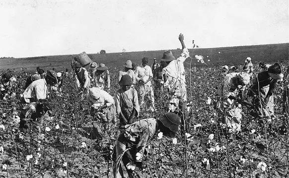Image: The 1526 Project: Horrors in Florida's Black History You Didn't Learn in School