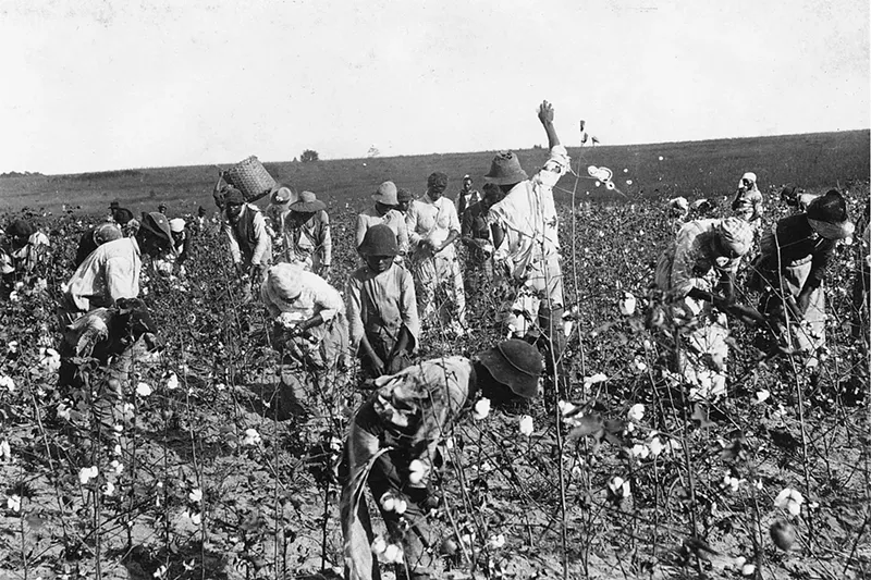 Image: Former slaves pick cotton in Jefferson County in the 1890s. See more photos of Florida's black history here.