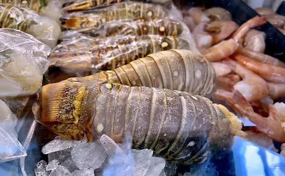 Image: The 2023 Florida Lobster Mini-Season Returns This Week; Please Don't Die