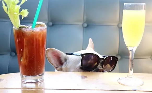 Image: The Eight Best Dog-Friendly Brunches in South Florida