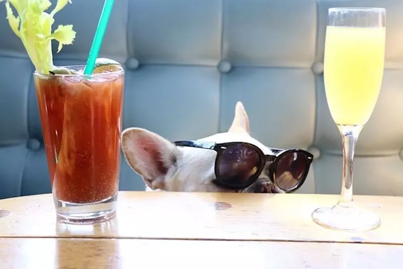 Image: Searching for a brunch spot where your very good boi is welcome? Look no further.