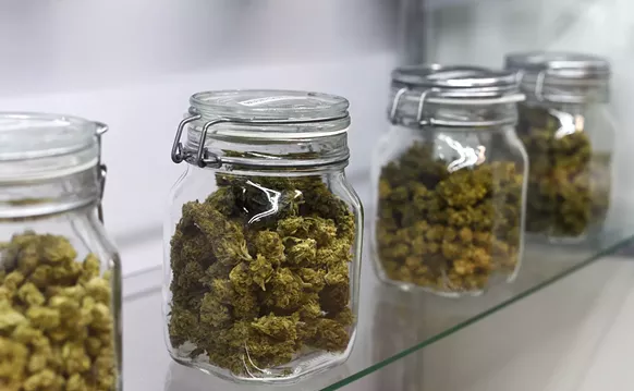 Image: Two Bills Could Dismantle Florida's Medical Marijuana "Cartel"