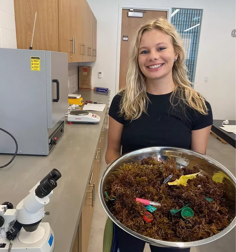 Image: Over the last year, Stetson University student Charlotte Kraft has been looking into how much plastic is ending up in the sargassum washing ashore Florida beaches.