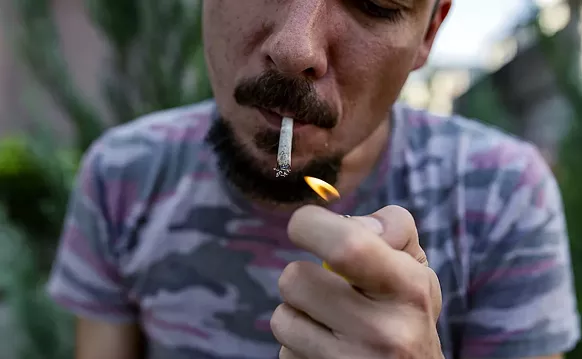 Image: Will Florida Legalize Recreational Marijuana in 2020?