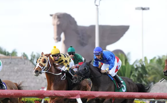 Image: World's Richest Horse Race Runs Saturday at Gulfstream Park